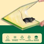 Set 20 x capcana cu lipici pentru soareci, sobolani, insecte NEXTLY, din carton, tip carte, adeziv puternic, fara miros, reutilizabila, pentru exterior/interior, non-toxic, verde - imagine 4
