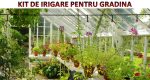 Sistem de irigare pentru gradina/plante/gazon/ghivece/sere/solare NEXTLY, 25m, 4 moduri de udare, rosu - imagine 2