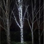 Instalatie de craciun, lumina alba rece, NEXTLY, rola 100m lungime, 8 jocuri de lumini, rezistenta la apa si inghet, interior exterior, pentru brad, casa, pomi, alimentare 220v - imagine 9