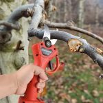 Foarfeca electrica pentru taiat NEXTLY, pentru gradina, vie, copaci, 2 acumulatori inclusi 24V, geanta transport, lame din otel, diametru taiere 25mm, accesorii incluse, rosu - imagine 12