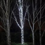 Instalatie de Craciun NEXTLY, lumina alb rece, rola 50m lungime, 8 jocuri de lumini, rezistenta la apa si inghet, interior/exterior, pentru brad, casa, pomi, alimentare 220v - imagine 10